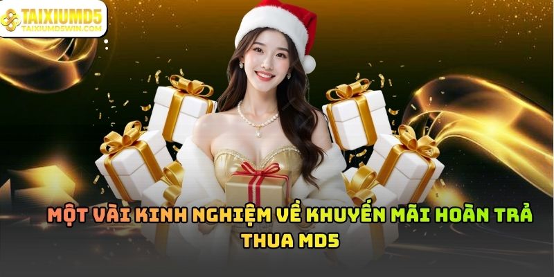 Khuyến mãi hoàn trả thua MD5: Cơ hội giảm rủi ro 2026