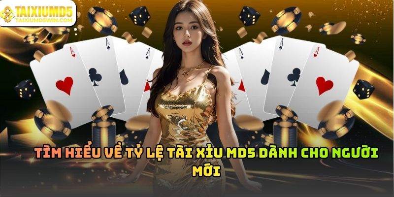 Tỷ Lệ Tài Xỉu Và Cách Hiểu Đúng Bản Chất Trò Chơi